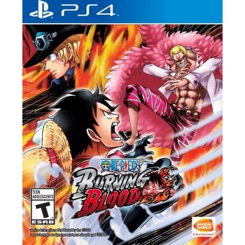 Burning Blood    PlayStation 4