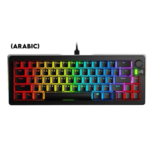 Glorious GMMK3 65% Wired Mechanical Keyboard DoubleShot Keycaps Glorious Fox lubed Linear Switches (Arabic)   Black