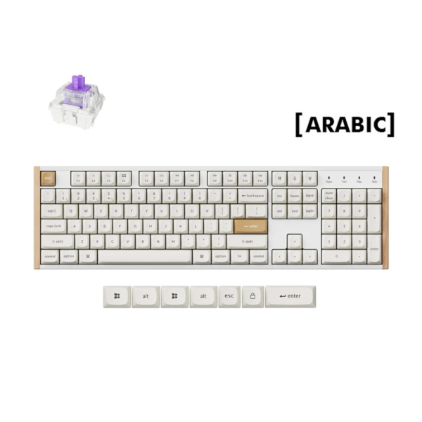 Keychron K10 HE Special Edition Wireless 80% Wireless Mechanical Keyboard BT 5 1 / 2 4GHz / USB C (Arabic Layout)   White