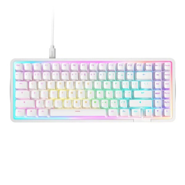 NZXT Function Elite Mini TKL Wired Gaming Keyboard White