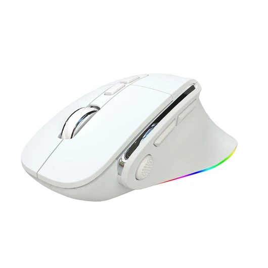 SKYLIONE H5 Wired and Wireless RGB Gaming Mouse White