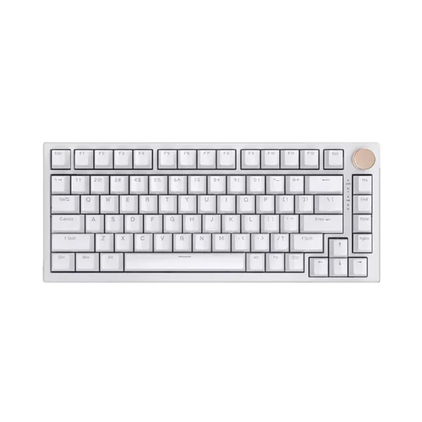 VGN N75 Gaming Keyboard   White