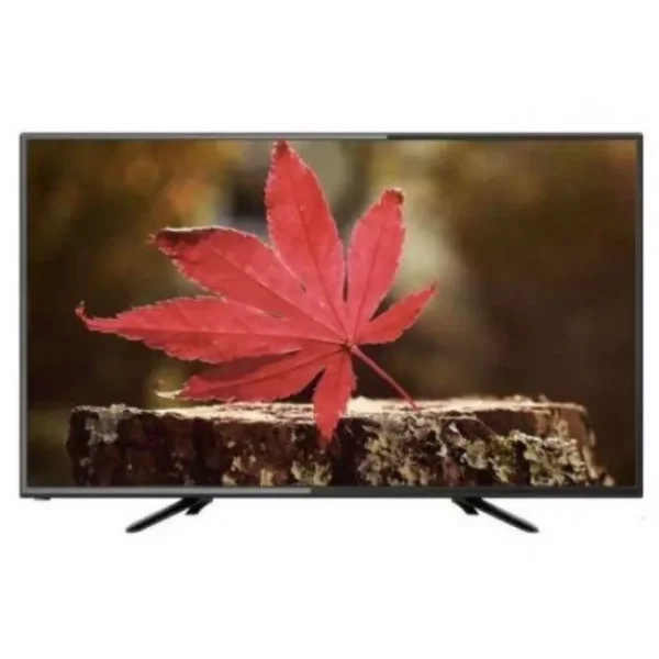 Wansa 24 inch HD LED TV WLE24G7762