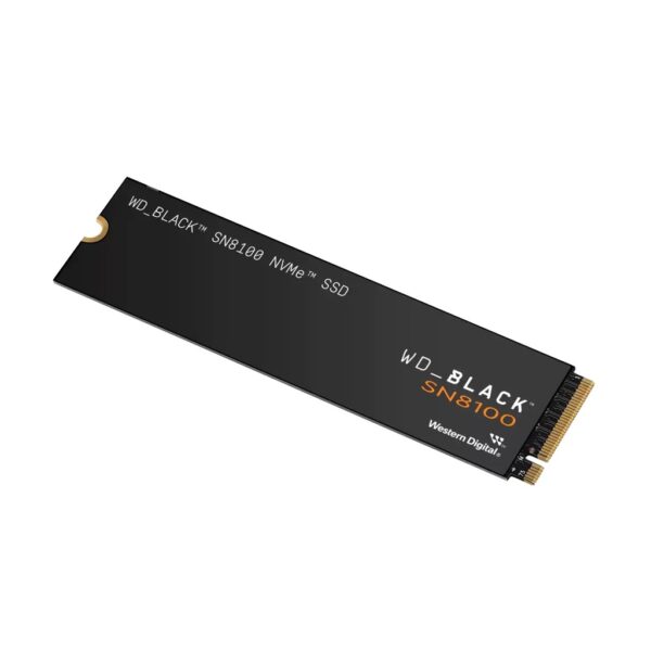 WD Black SN8100 1TB NVME SSD Game Drive Gen 5 Upto 14900 MB/s Read, Without Heatsink